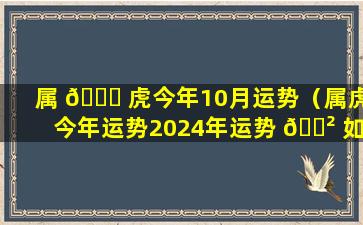 属 🐋 虎今年10月运势（属虎今年运势2024年运势 🌲 如何）